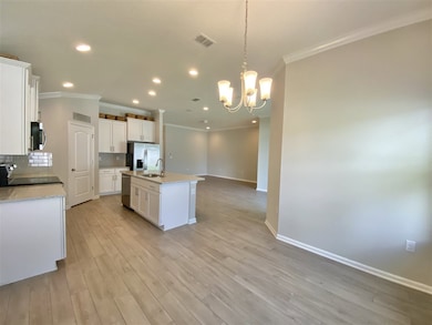 26 Coastal Hammock Way, Saint Augustine, FL 32086 - photo 4