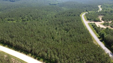 1 Rockhouse Rd, Flatwoods, TN 37096 - photo 2