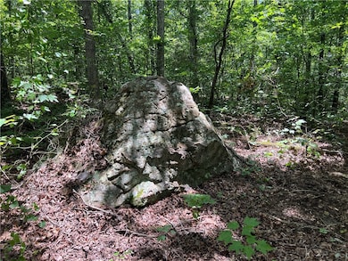 704 Old Highway 66, Leslie, AR 72645 - photo 5