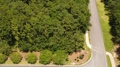 102 White Birch Ct, Aiken, SC 29803 - photo 6