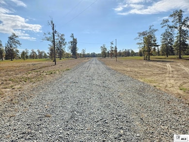 305 Carolina St, Monroe, LA 71202 - photo 6