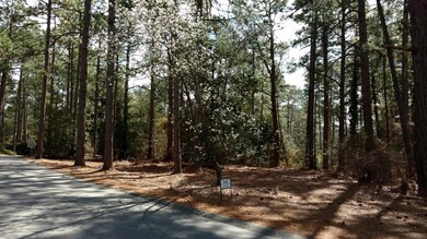 15 Quail Run  Street view