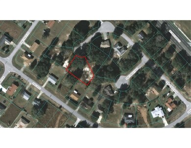 68 Pine Trace Run, Ocala, FL 34472 - photo 3