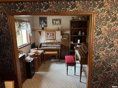 8424 Bolen Store Rd, Thompsonville, IL 62890 - photo 6