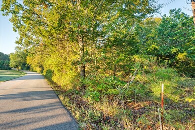 TBD Butterfield Ave, West Fork, AR 72774 - photo 5