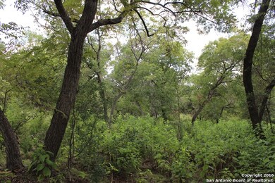 23626 Verde River, San Antonio, TX 78255 - photo 7