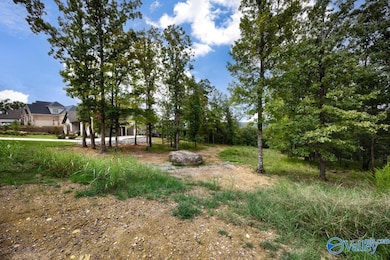 49 Watson Grande Way SE, Owens Cross Roads, AL 35763 - photo 3