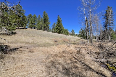 112 Blue Jay Ln, Divide, CO 80814 - photo 5