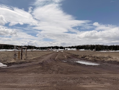 2533 E Meadow Lake Dr, Brian Head, UT 84719 - photo 4