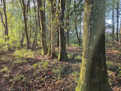 Brooks Rd, Hurtsboro, AL 36860 - photo 3