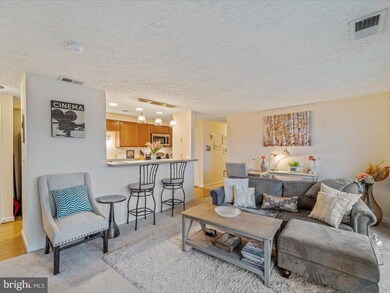 17050 Capri Ln unit 304, Dumfries, VA 22026 - photo 4