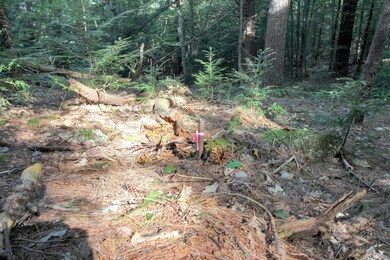 218-039 New Hampshire Route 175, Thornton, NH 03285 - photo 4