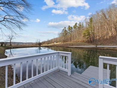 1007 Rocky Hollow Rd, Blountsville, AL 35031 - photo 5