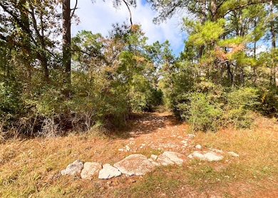 0 Frank Cloud Rd, Huntsville, TX 77320 - photo 3