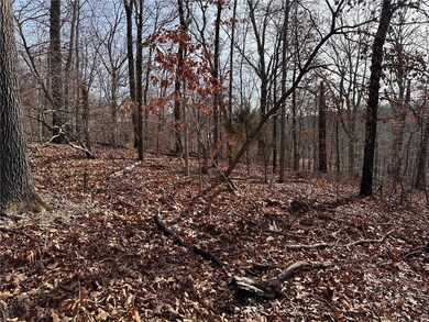 0 Kensington Dr, Bella Vista, AR 72715 - photo 3