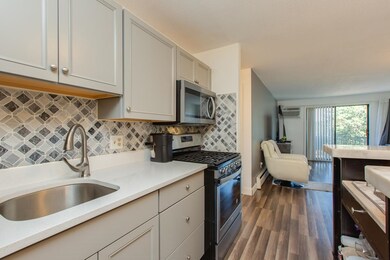 134 Mammoth Rd unit 526, Hooksett, NH 03106 - photo 5