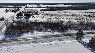 XXX Highway 95 NW, Princeton, MN 56371 - photo 4