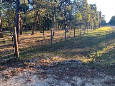 24102 Pinewood Valley Dr, Hockley, TX 77447 - photo 4