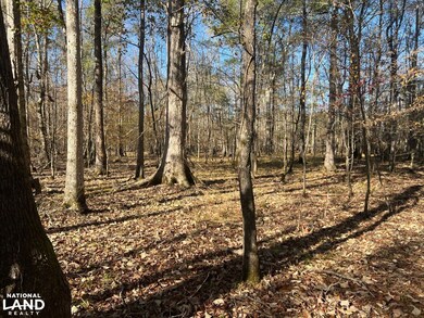 0 Hayes Crossing Rd unit 25566057, Millport, AL 35576 - photo 7