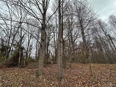 LOT 24D Days Bridge Rd, Thornhill, VA 22960 - photo 3