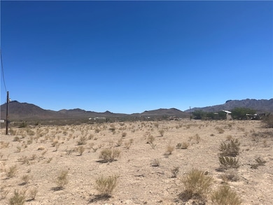 15820 Edgemont Rd, Dolan Springs, AZ 86441 - photo 2