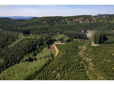 0 Conyers Creek unit 208773965, Clatskanie, OR 97016 - photo 3