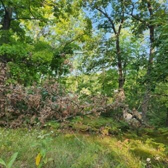 12129 N Lake St, Bitely, MI 49309 - photo 7