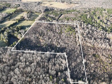 0 Old Bachelor Creek Rd, Seagrove, NC 27341 - photo 3