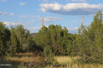 2470 N Luana unit 809, Ash Fork, AZ 86320 - photo 4