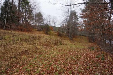 0 Thayer Brook Rd unit 4872885, Alstead, NH 03602 - photo 4