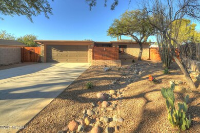 Native Plants and Desert Landscaping