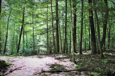 TBD Bone Hollow Rd, Accord, NY 12404 - photo 5