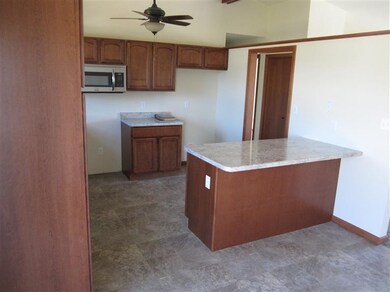 12821 Colfax St, Cedar Lake, IN 46303 - photo 3