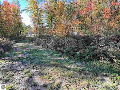 6236 E Michigan 55, Whittemore, MI 48770 - photo 6