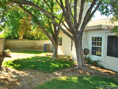 Great backyard shaded by two Ash trees.