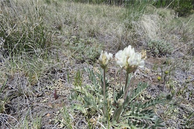 437 Overland Cir, Jefferson, CO 80456 - photo 3