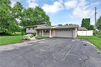 Utility pole on right is the eastern edge of the property.