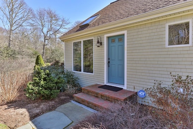 5-web-or-mls-1-spinnaker-trail