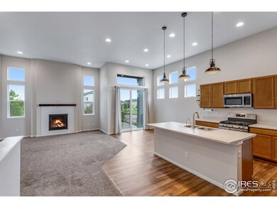 3997 Forest Lake Ct, Loveland, CO 80538 - photo 4