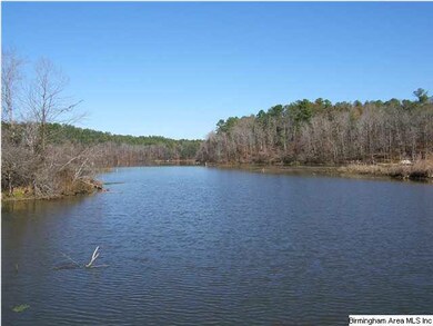 Year round water on Peckerwood creek.
