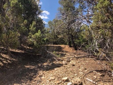 40 Acres