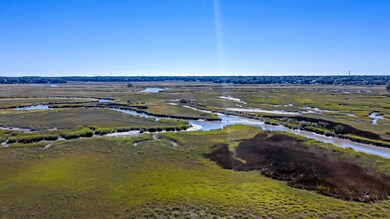 Gorgeous Charleston Scenery