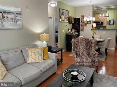 22655 Blue Elder Terrace unit 202, Ashburn, VA 20148 - photo 6