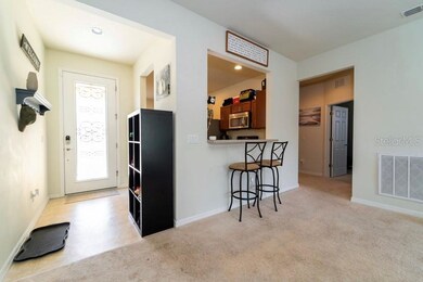 30543 Lipizzan Terrace, Mount Dora, FL 32757 - photo 6