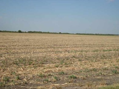 14376 Fm 428, Celina, TX 75009 - photo 6