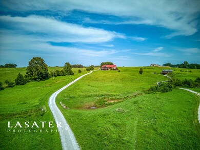 Lasater_ 82