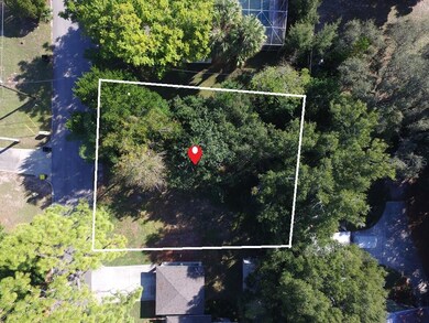 0 Palm unit G5022969, Clermont, FL 34711 - photo 7