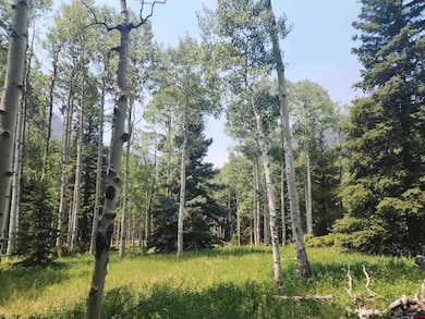 19 Oliver St, Monte Vista, CO 81144 - photo 4