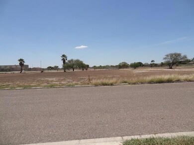 TBD Canary Island Ln, Alamo, TX 78516 - photo 2