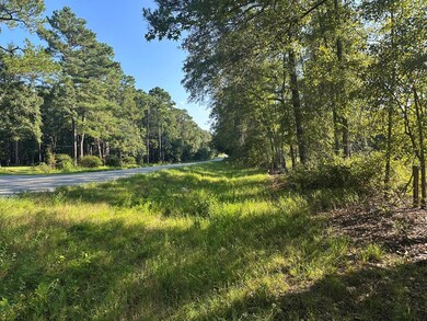 00 Hwy 111 South Tract 1, Cairo, GA 39828 - photo 5